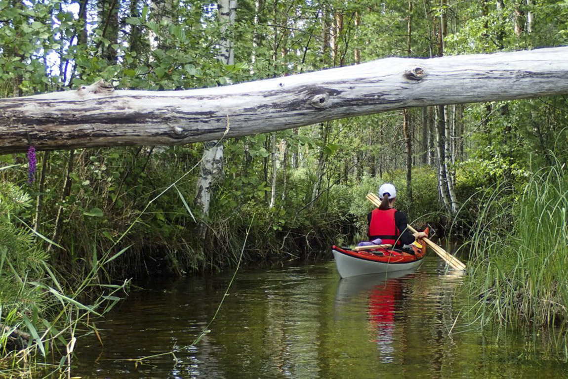 Saimaa Canoeing: Paradise paddling in Finland: adventure and fun for all