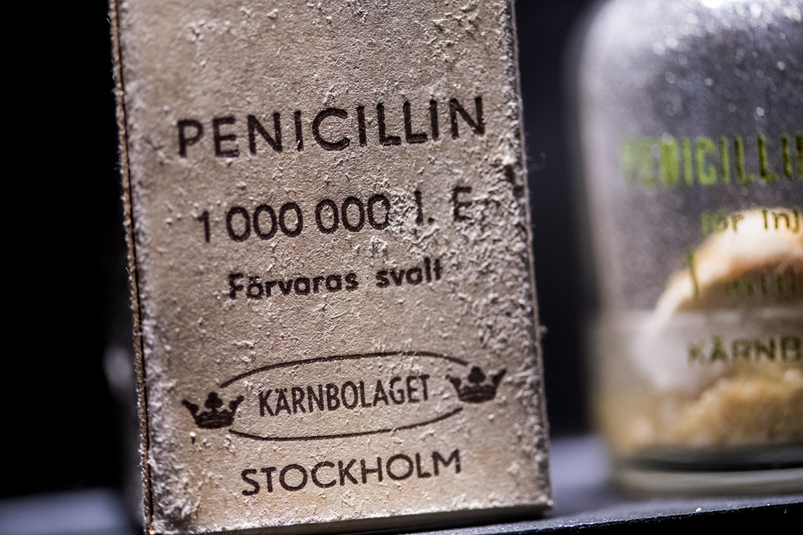 Nobel Prize Museum: The mysterious world of fungi