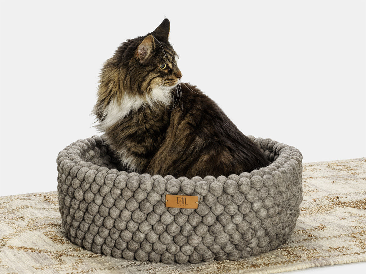 Next store cat bed