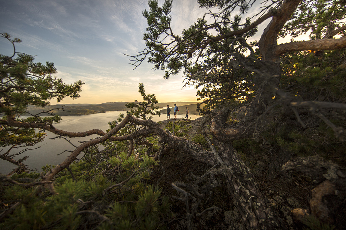 Explore the curious world of Sweden’s High Coast
