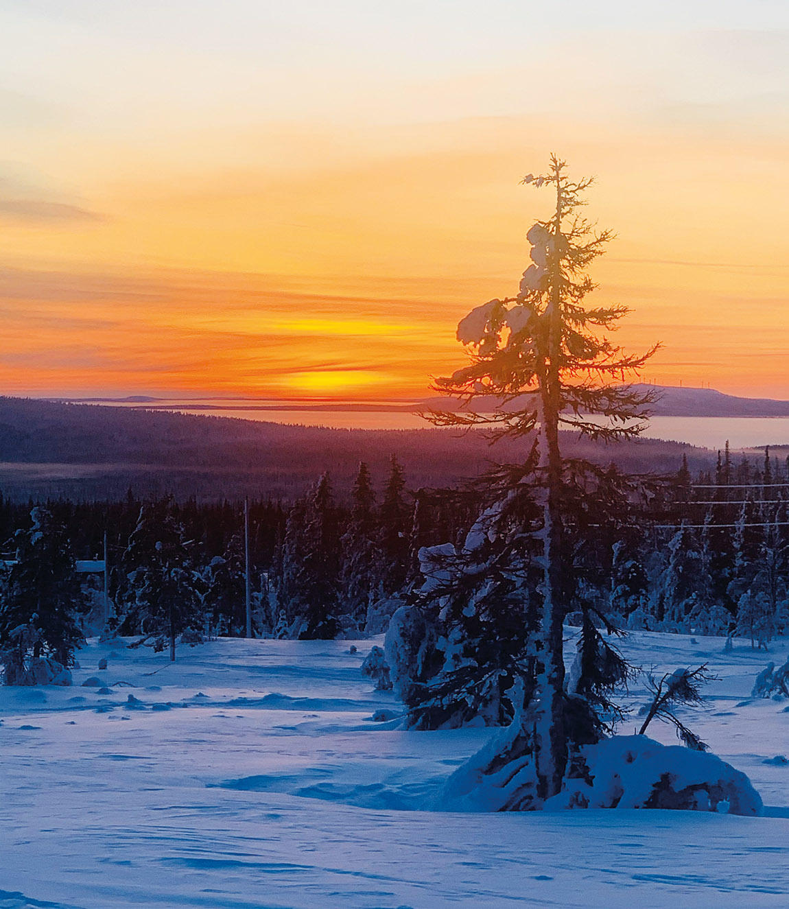 Lappland Dream: Eight seasons, two villas, one Lappland Dream