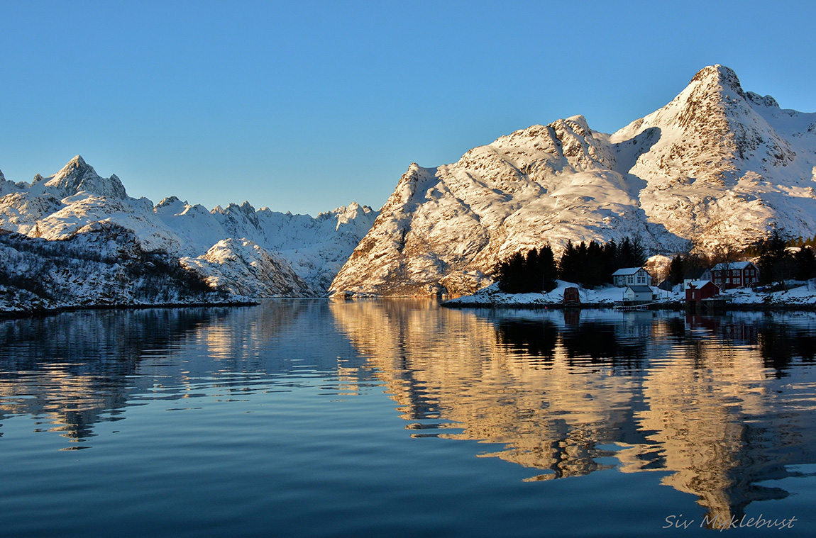 Experience the best of Norwegian nature with RIB-Lofoten