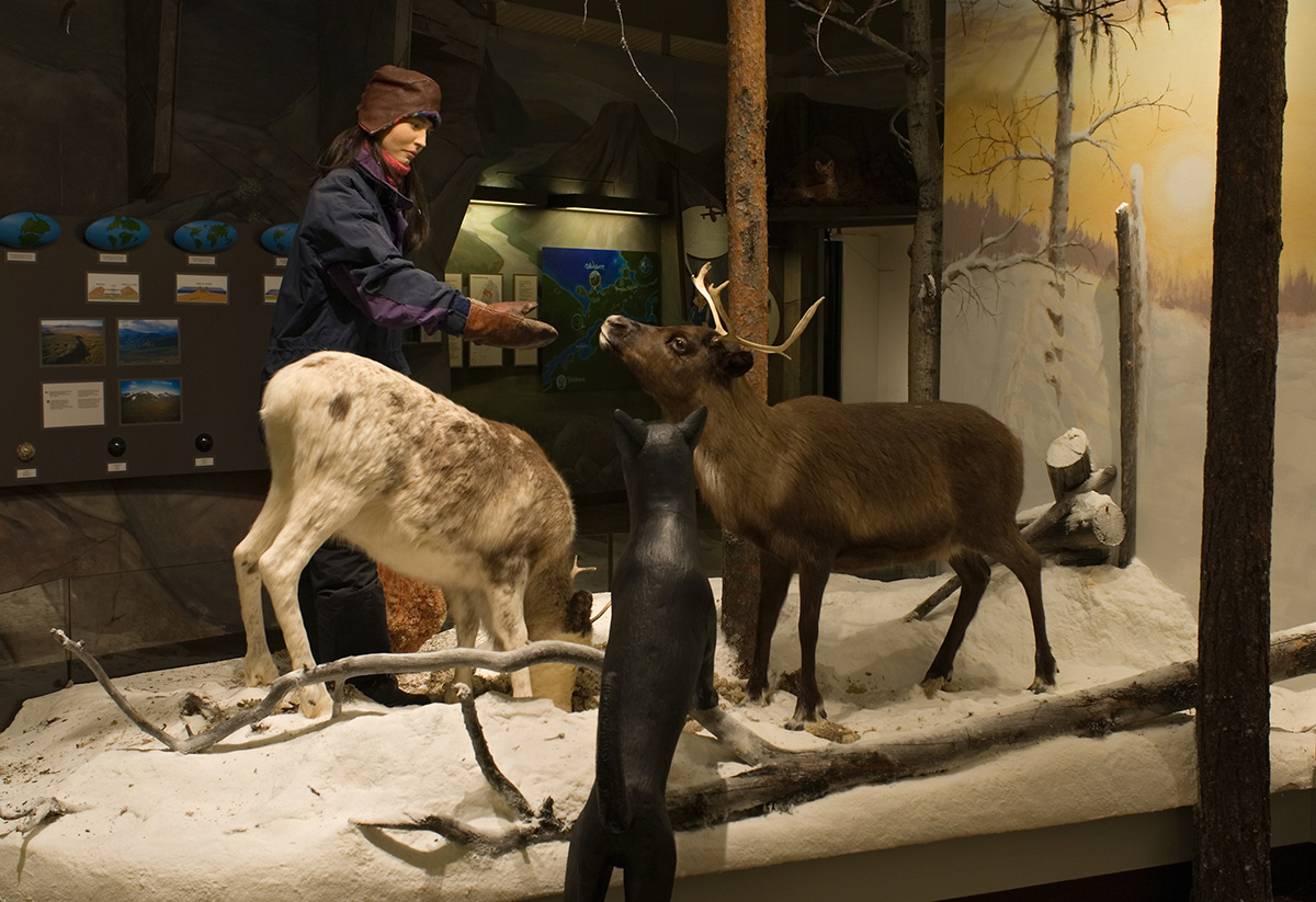 Ájtte – the Swedish Mountain and Sami Museum