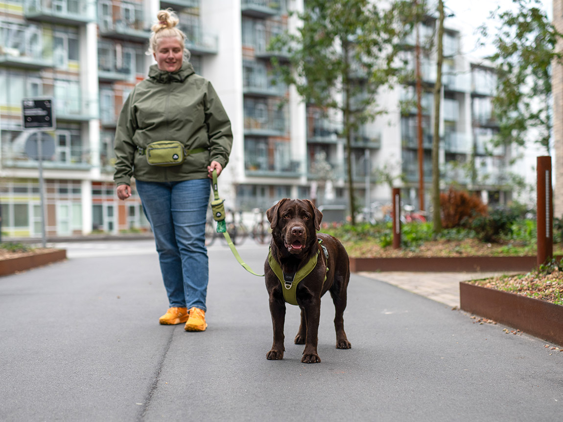 DOG Copenhagen: Paws in the air for stylish, comfortable, and functional dog gear