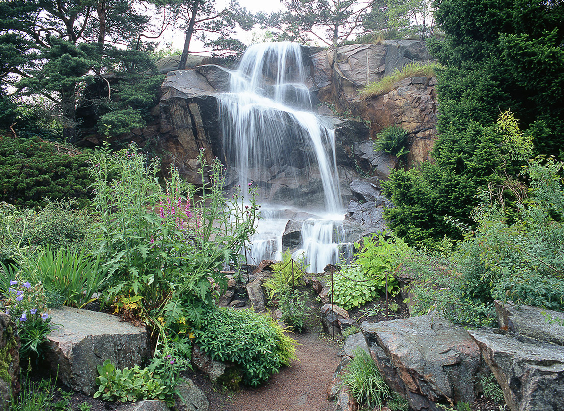 Gothenburg Botanical Garden: Restoring the future of plants