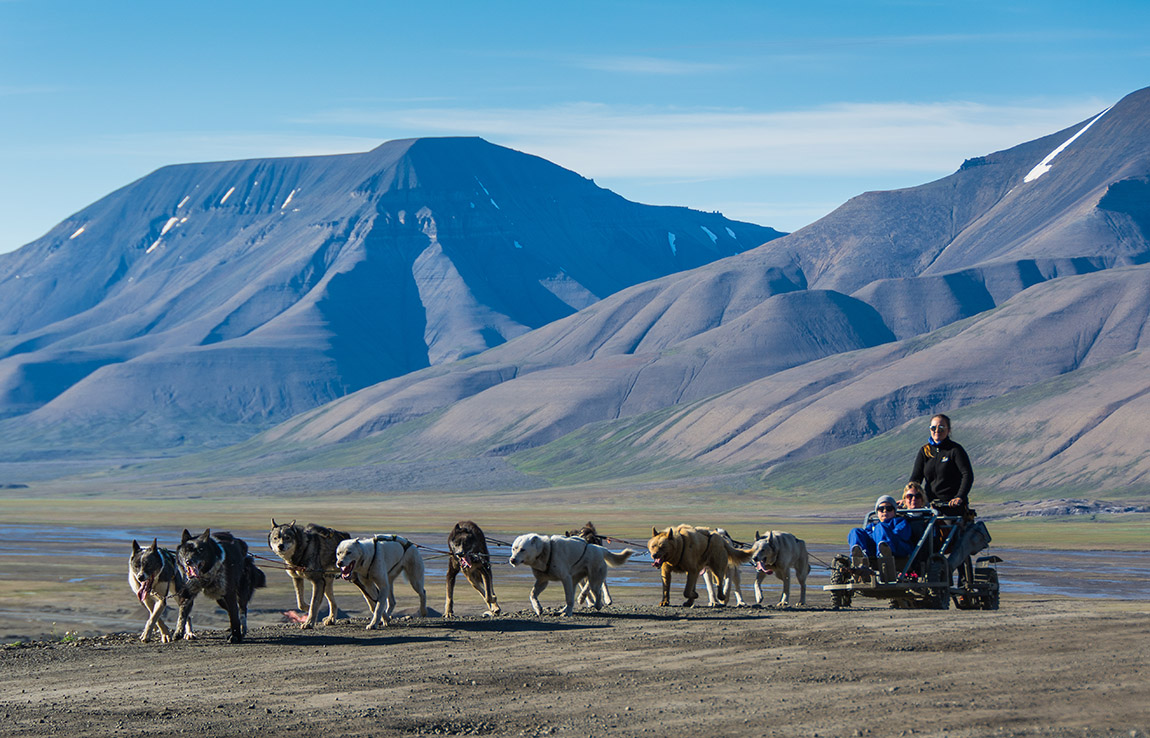Experience the bright and mild polar summer in Svalbard
