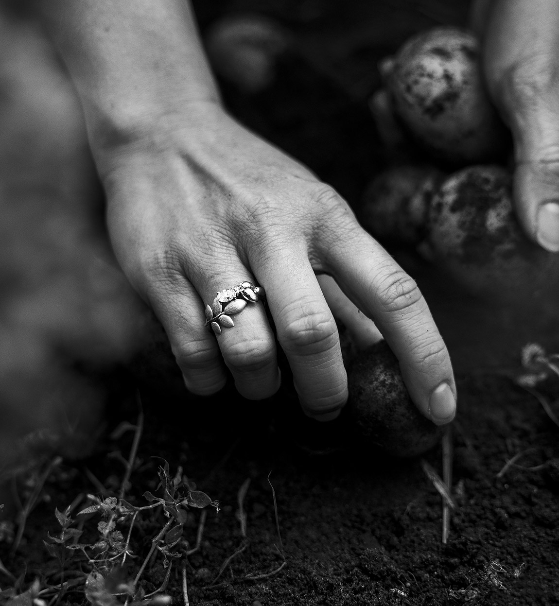 GULDVIVA: Timeless jewellery – inspired by the sea and the soil