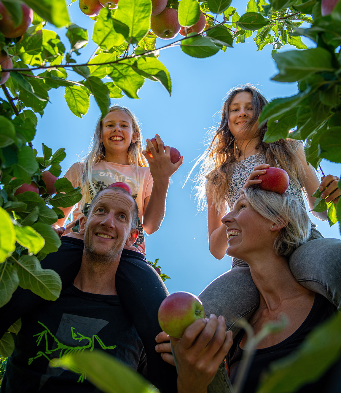 Hardangerbonden: Trading in teaching for life on a Norwegian apple farm