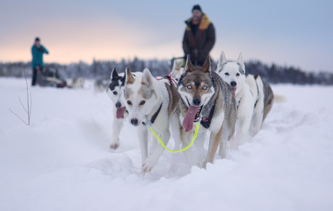 Hilla Villas: Discover Lapland’s hidden gems