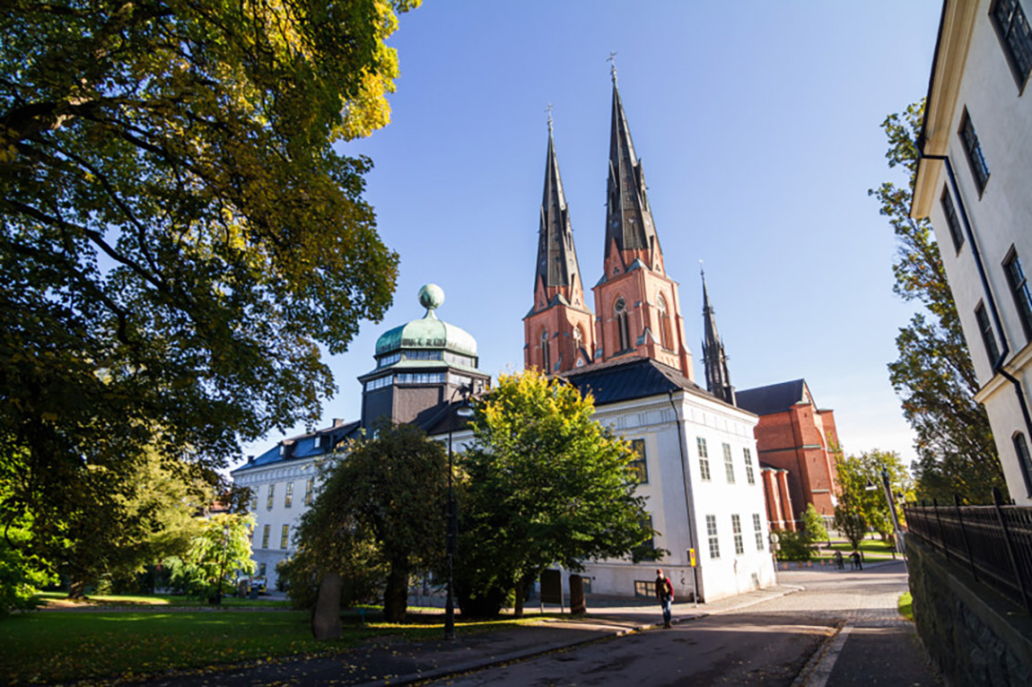 Gustavianum: From the dawn of the Viking age to modernism – all in one newly renovated museum