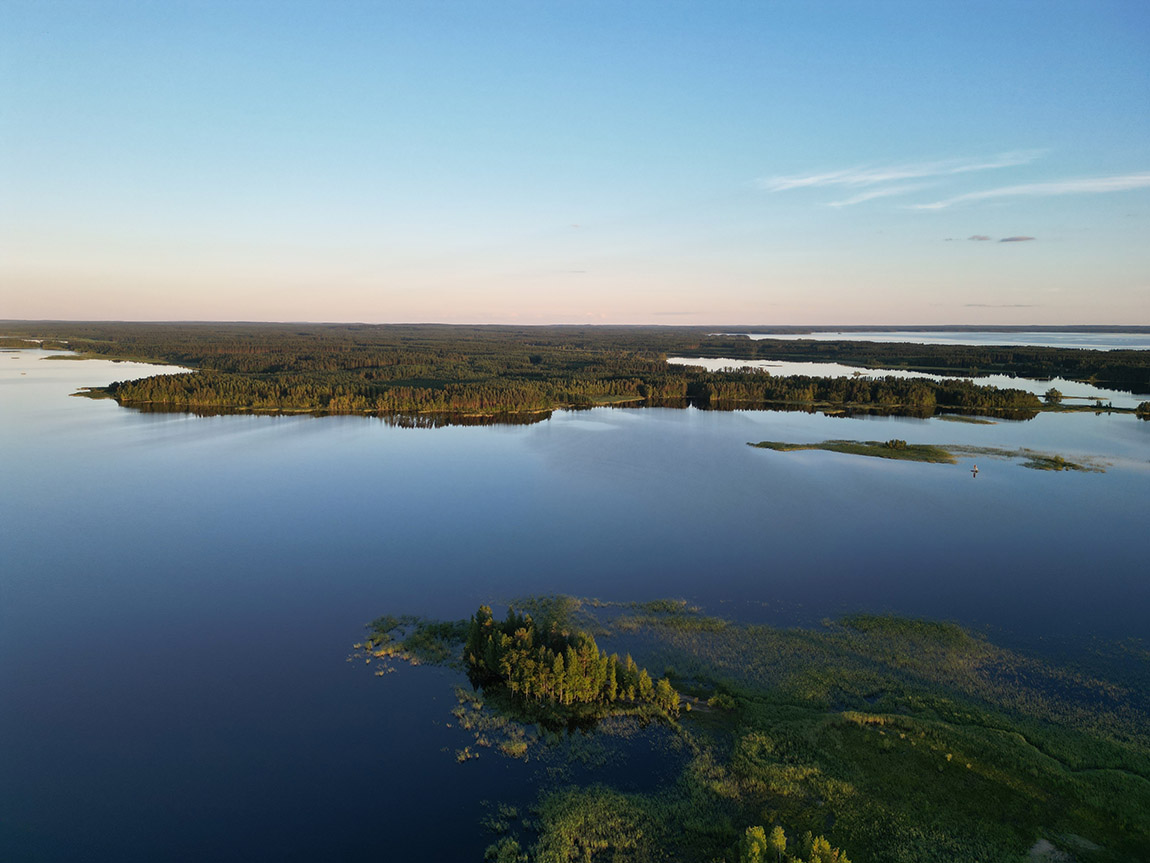 Kalevala Distillery: Handcrafted organic gin from afamily-owned distillery in Karelia