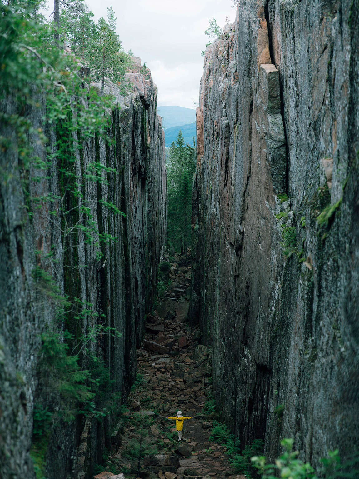 Explore the national parks of Scandinavia