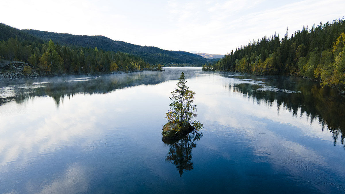 Explore the national parks of Scandinavia