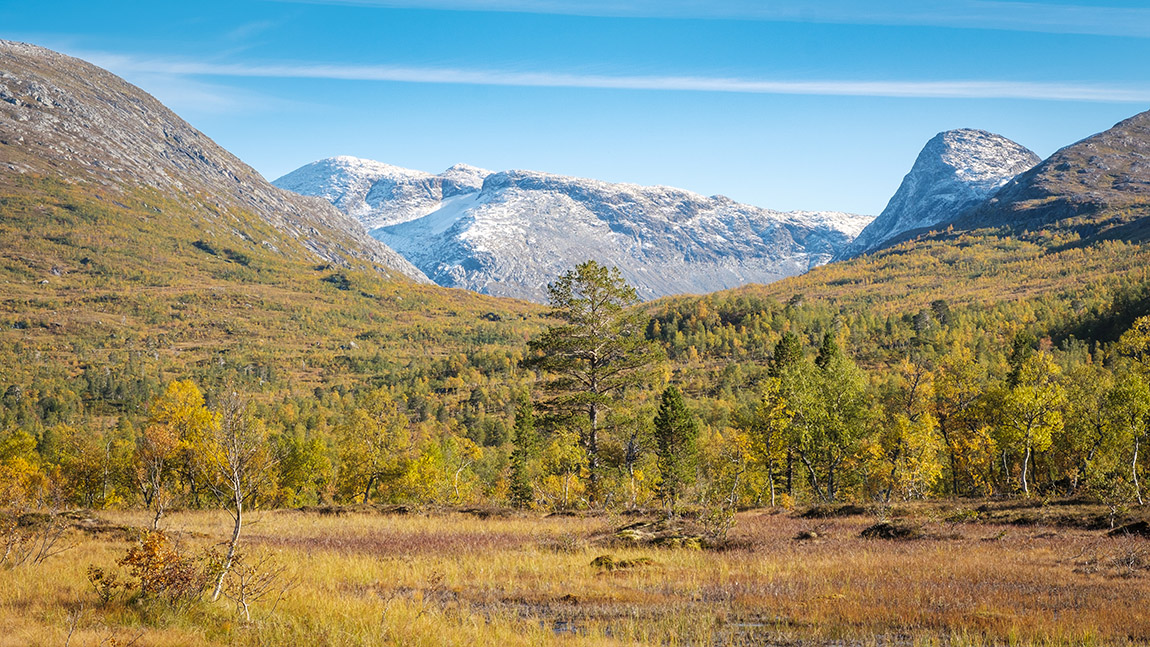 Explore the national parks of Scandinavia