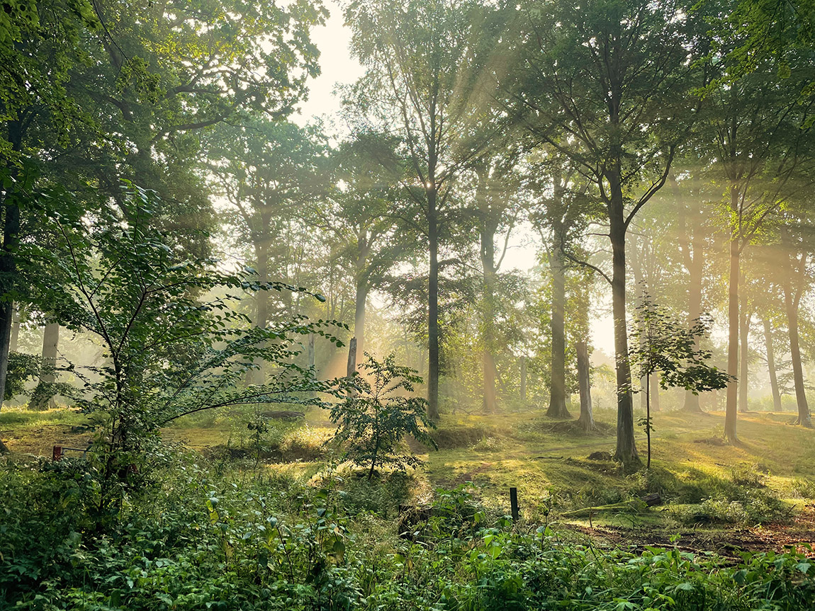 Explore the national parks of Scandinavia