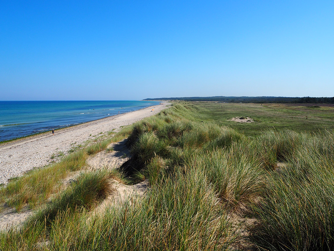 Explore the national parks of Scandinavia