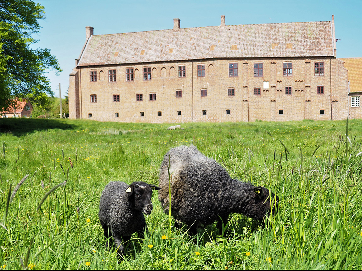 Explore the national parks of Scandinavia