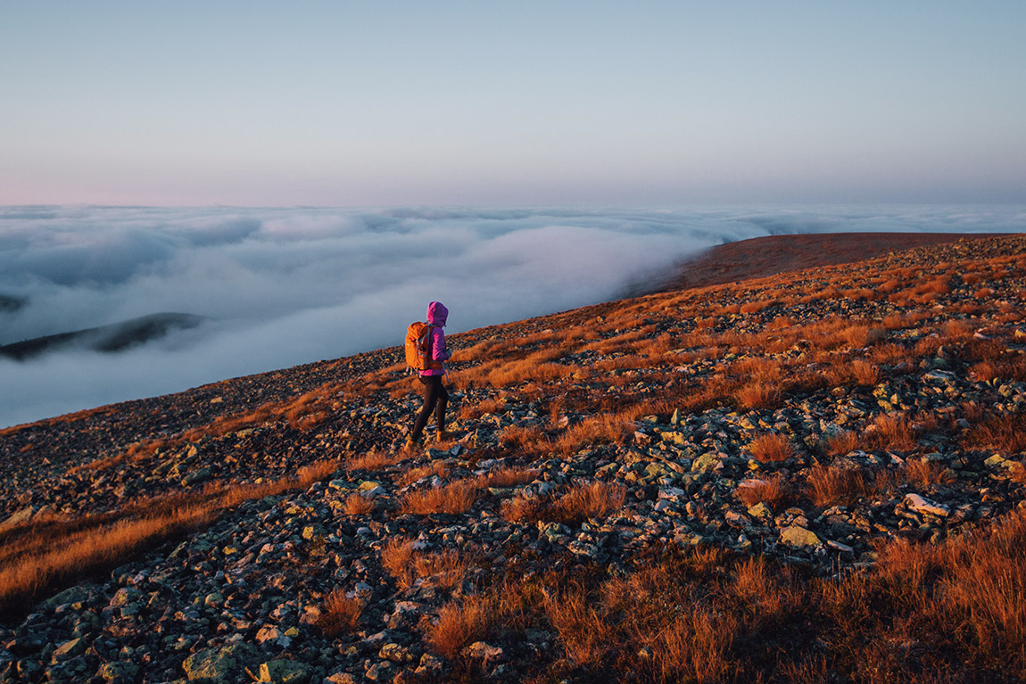 Explore the national parks of Scandinavia