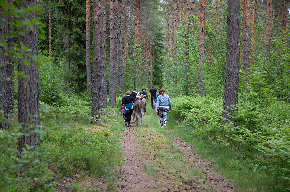 Tukkila Farm: The key to a perfect getaway: clean air, fresh bread and walking a donkey