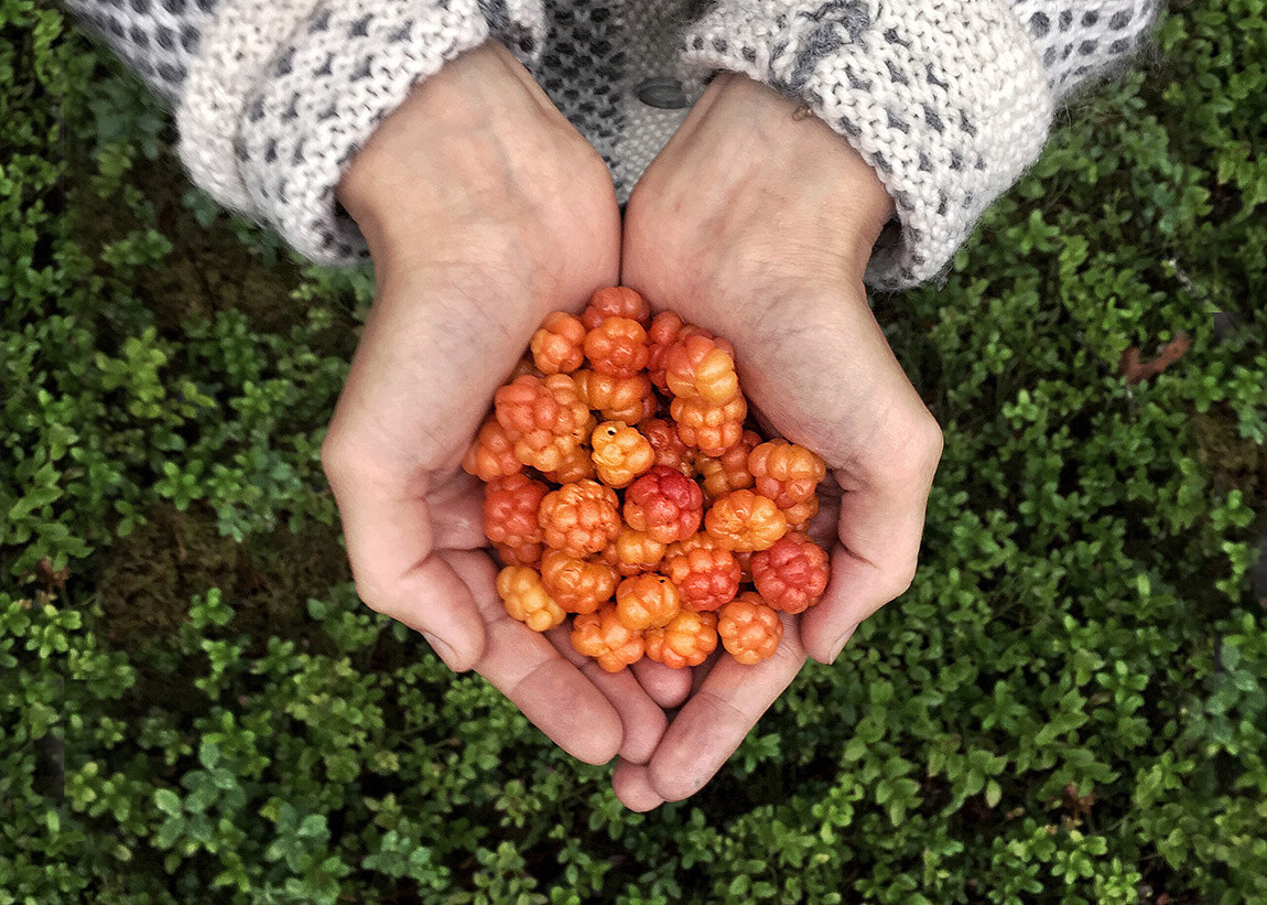 Foraging in Finland