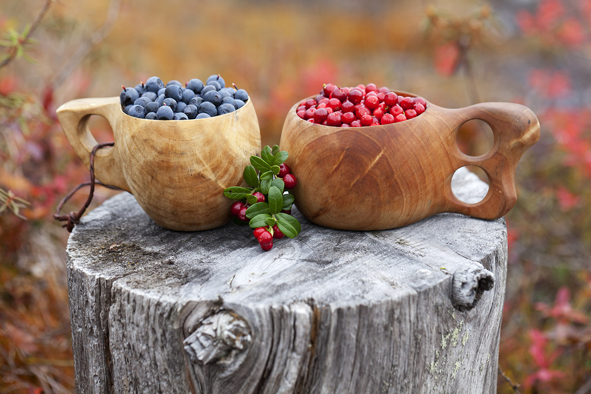 Foraging in Finland