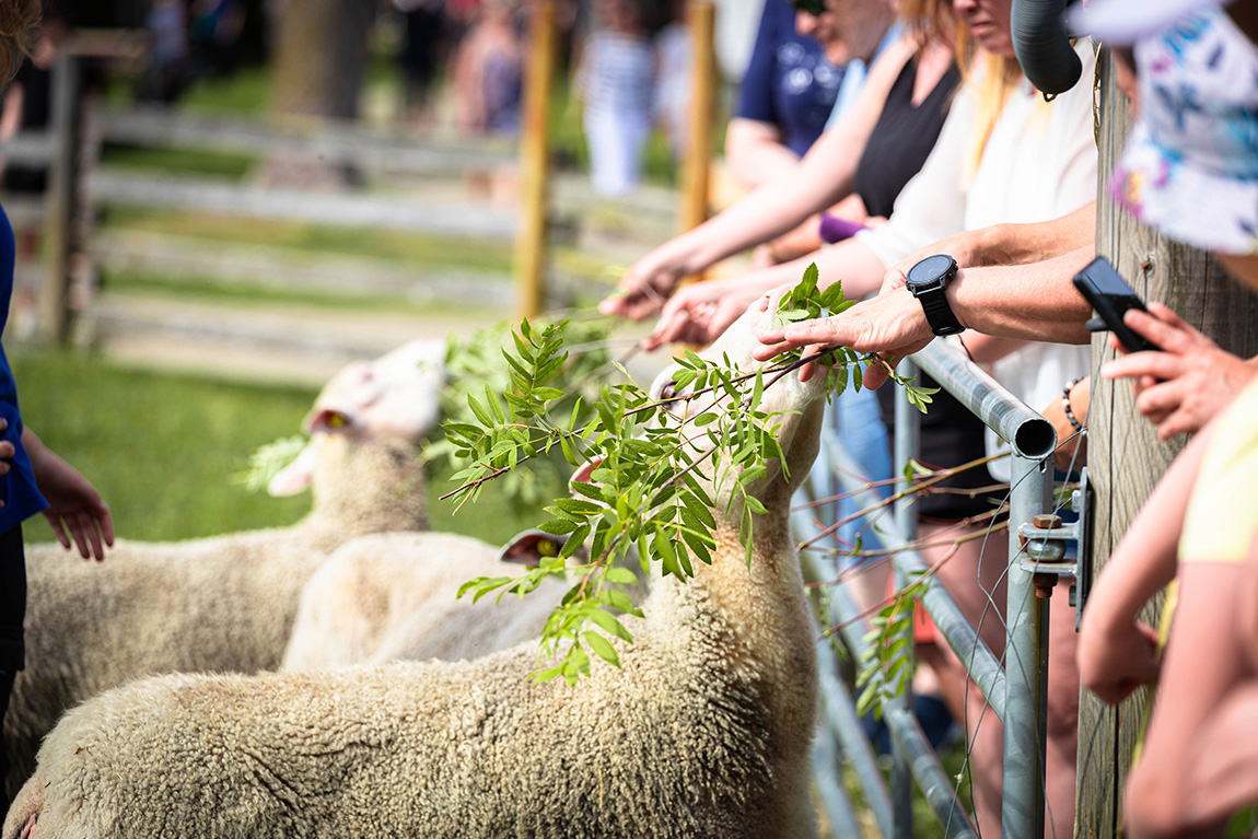 Rantasalmi: Explore nature and cultural heritage along the lakes of Eastern Finland