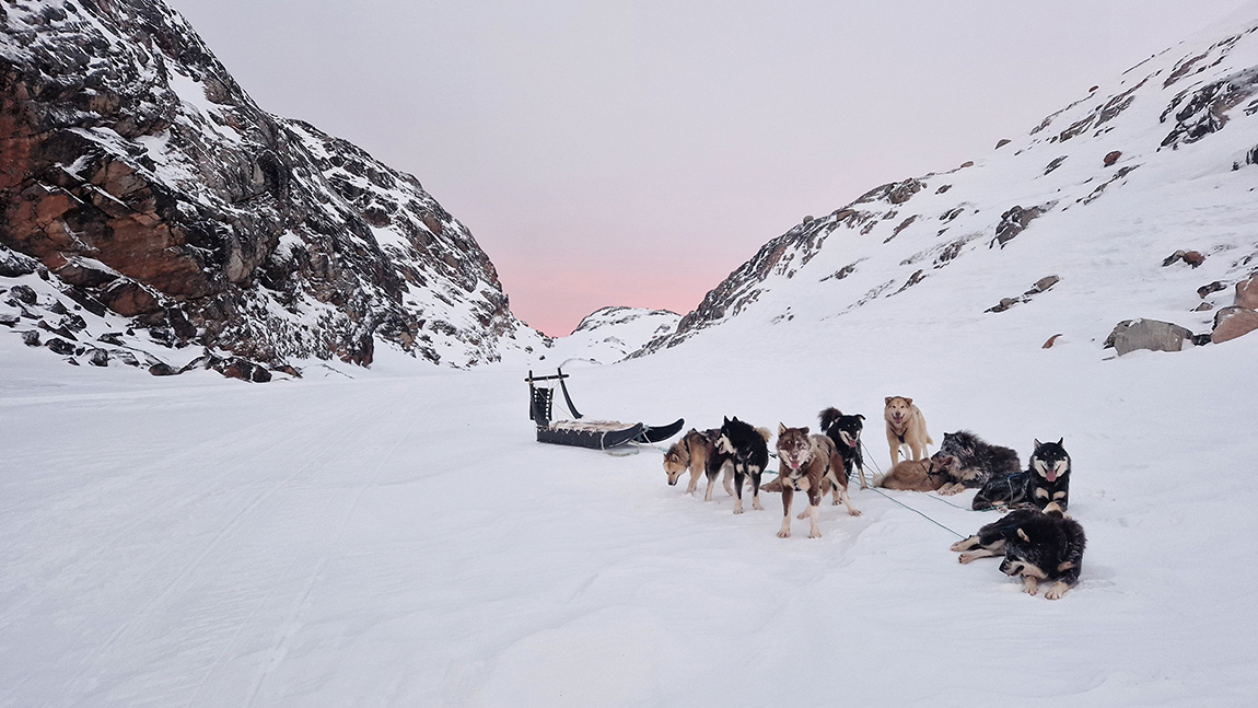 Diskobay Tours: Meet the real Greenland