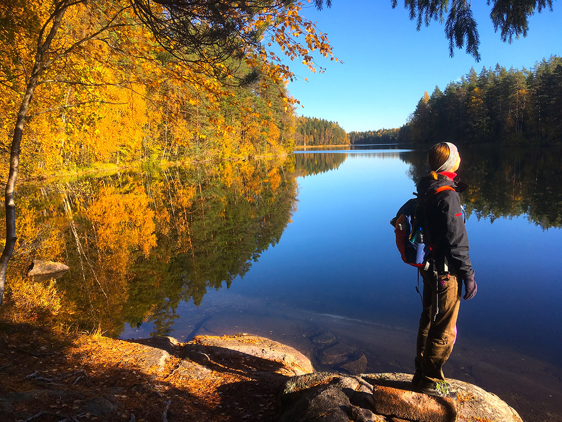 FoRestful: Rooted in nature: reconnecting with the wild for well-being