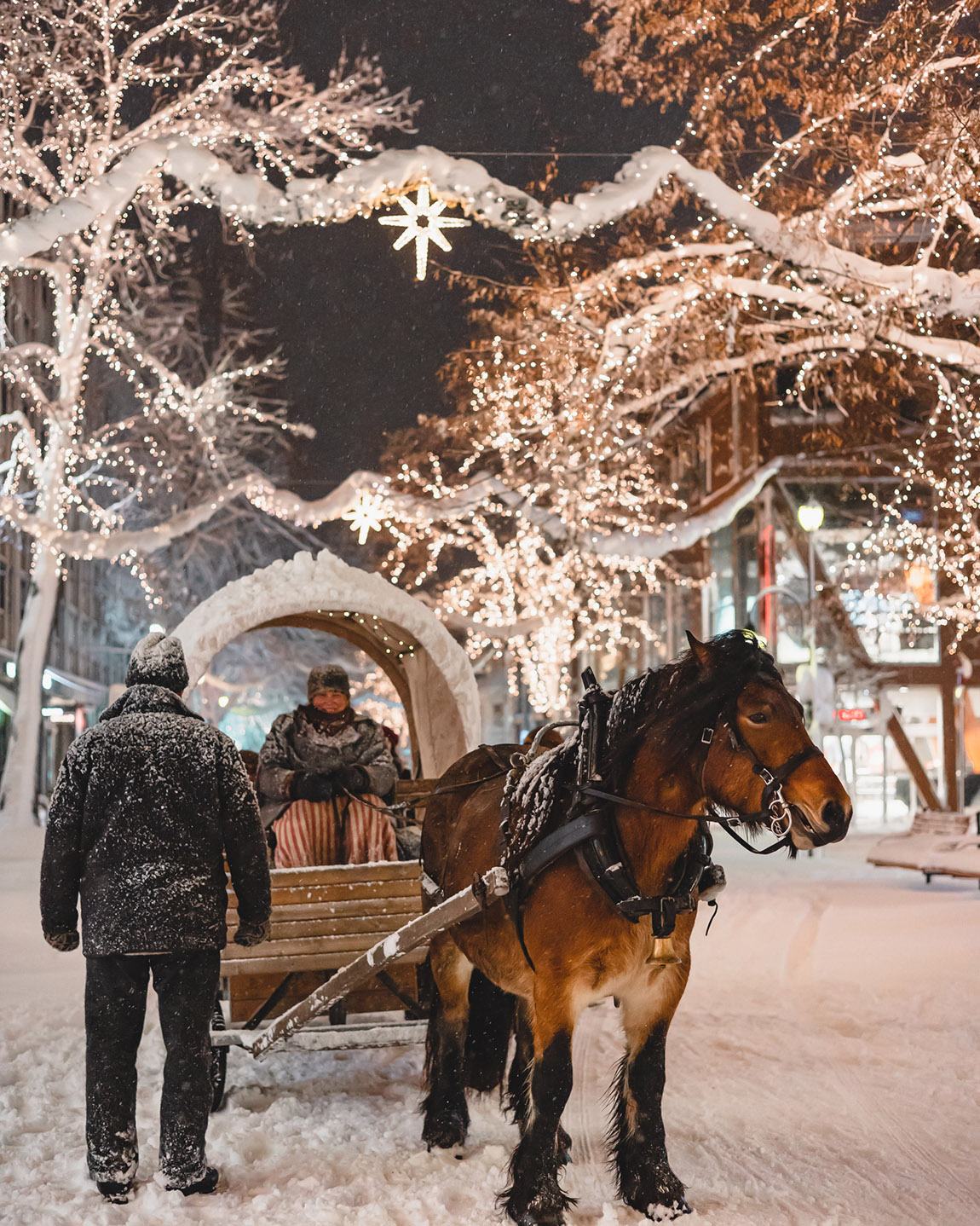 Trondheim Christmas Market: Experience the holiday spirit of Norway in Trondheim