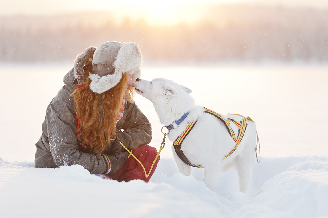 Experience the dreamlike Swedish winter