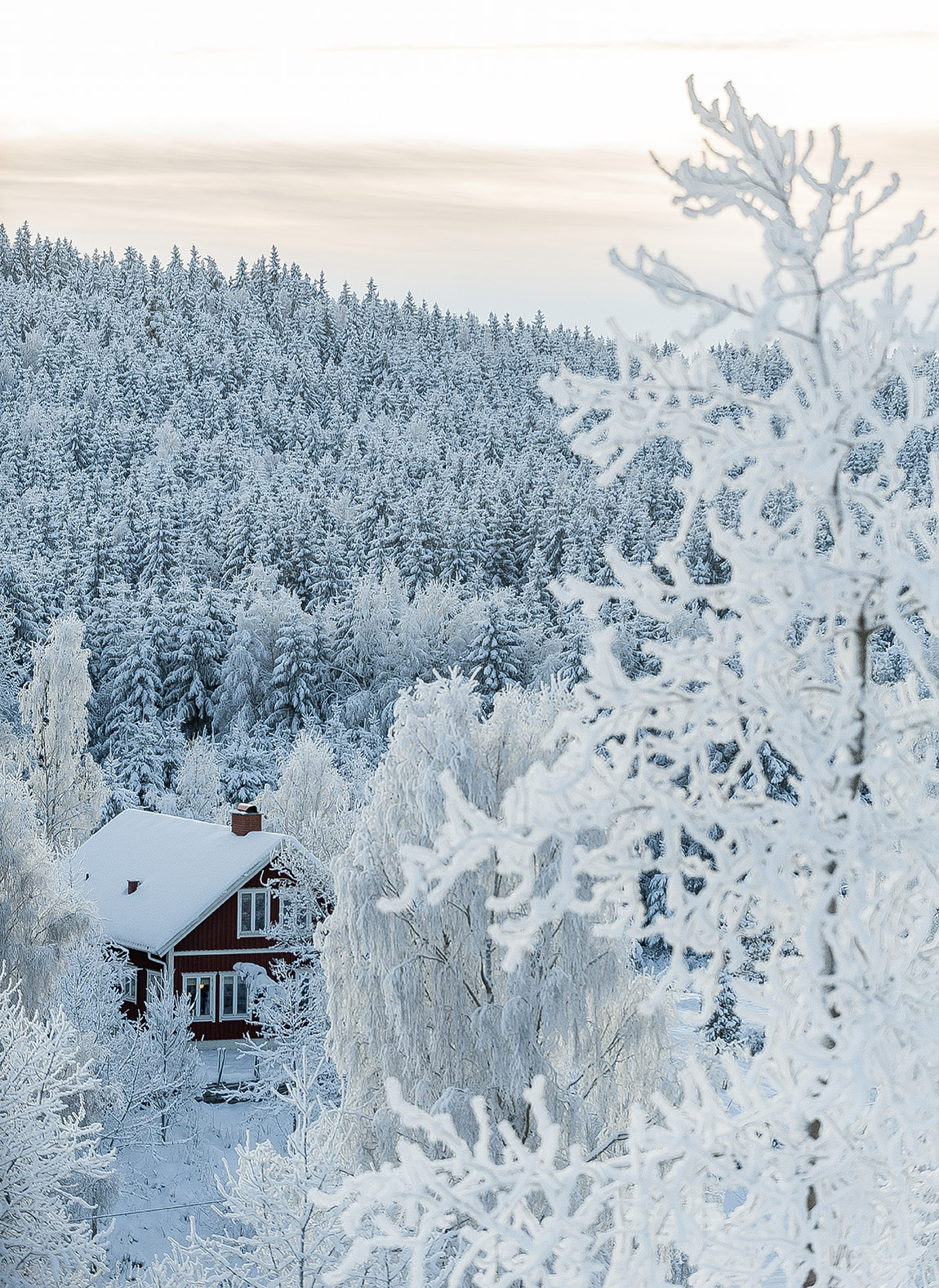 Experience the dreamlike Swedish winter