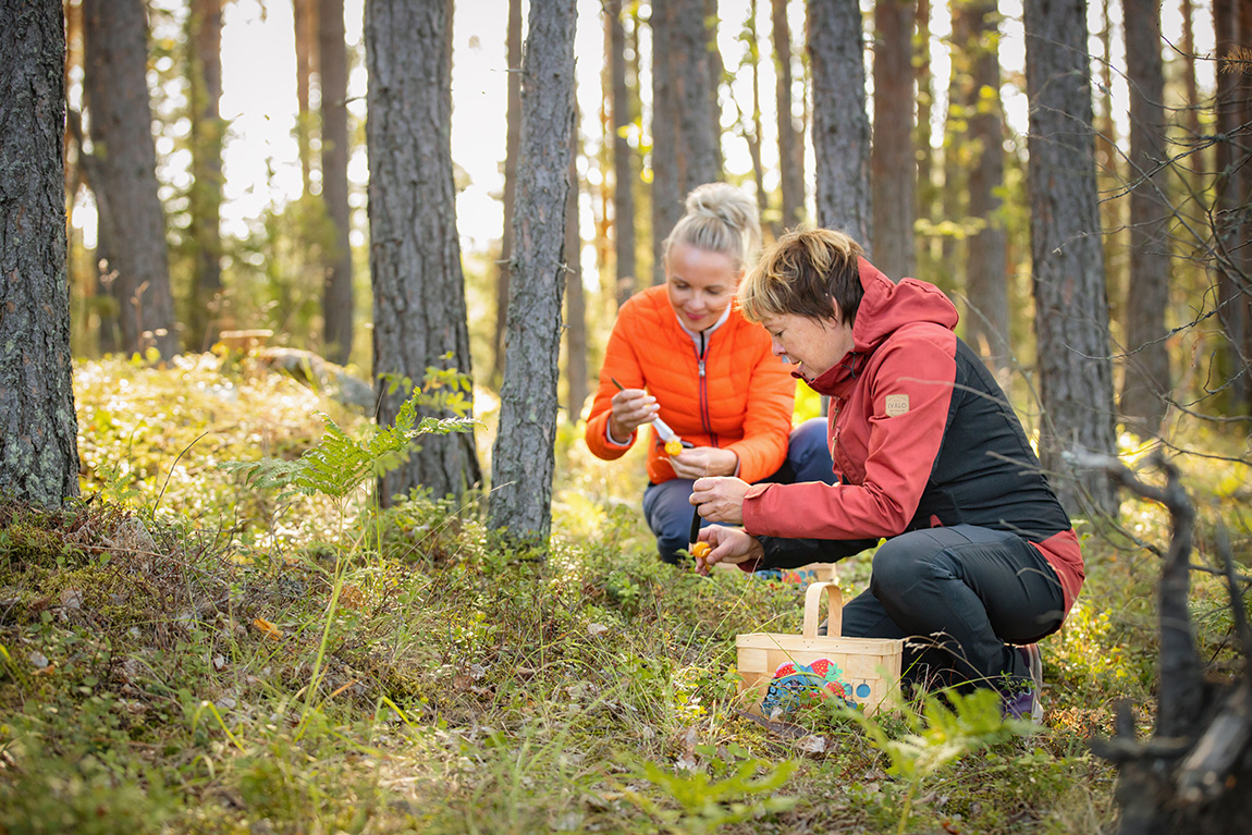 Best Lake Nature Adventures: Reconnect with nature: year-round adventures in Finland’s lake region