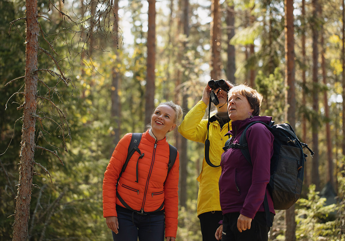 Best Lake Nature Adventures: Reconnect with nature: year-round adventures in Finland’s lake region