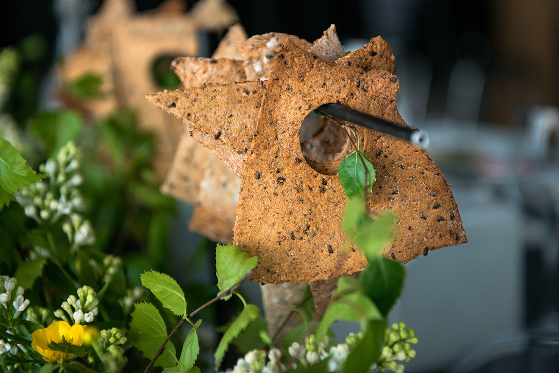 The emergence of rye bread and sourdough baking in the Nordics