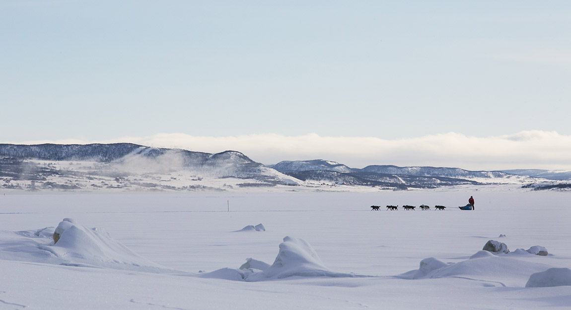 Set out on an Arctic odyssey with Finnmarksløpet