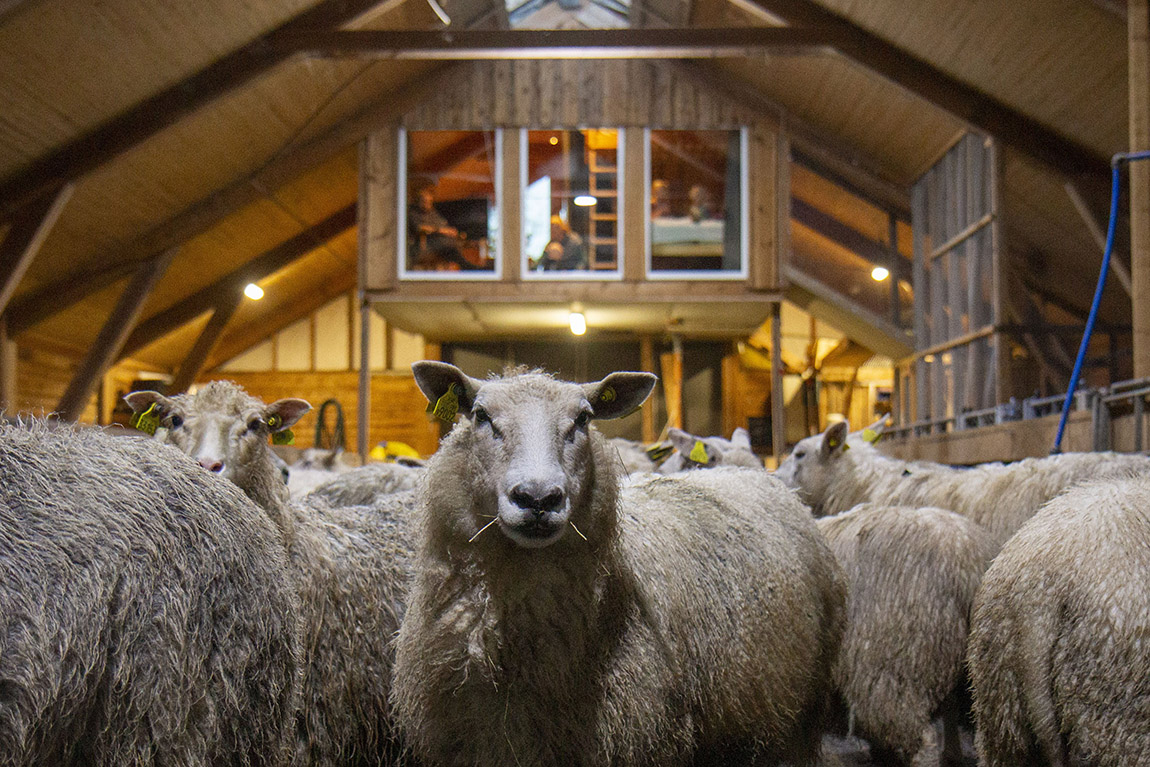 Hammer Gård: A slice of rural paradise