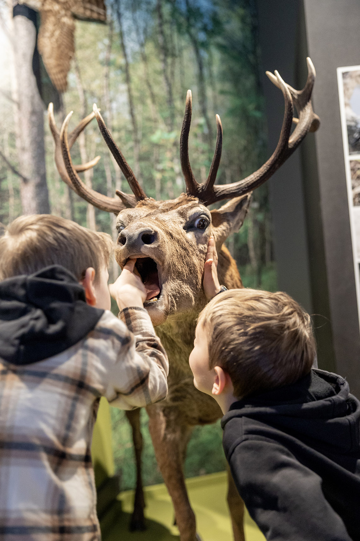 Museum Stavanger: Stavanger museums connect generations in analogue experiences