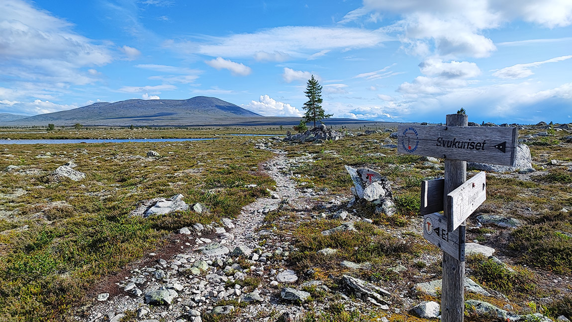 Femundsmarka National Park offers travellers all the beauty of the Norwegian wilderness.