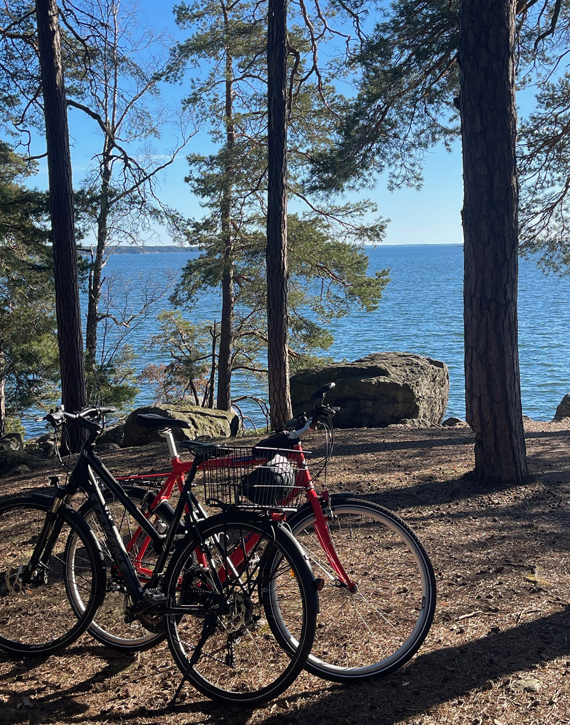 Ruissalo: The ideal location to experience summer in Finland