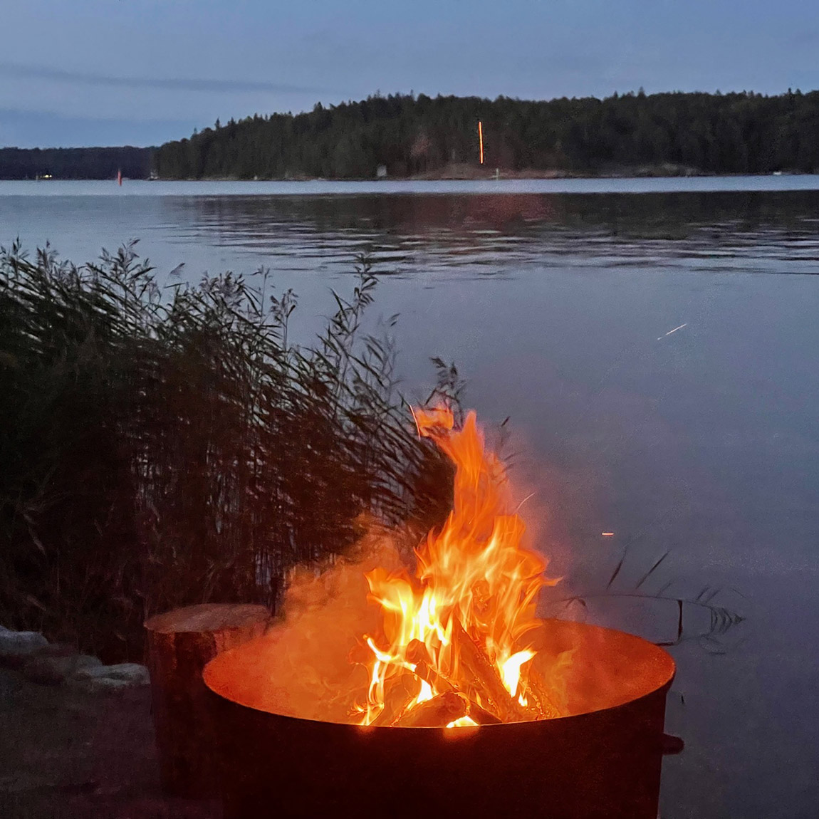 Photo: Sanna Suomi