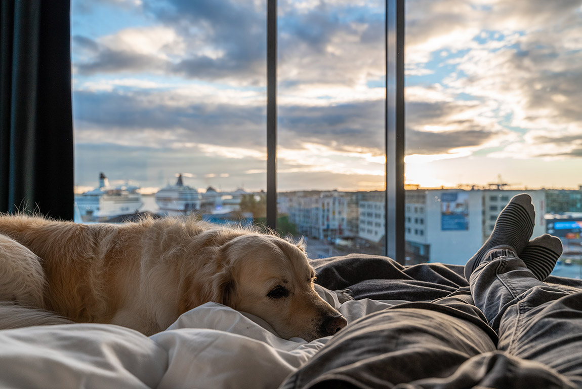 Citybox Tallinn offers guests a sleek and affordable stay with comfort and convenience.