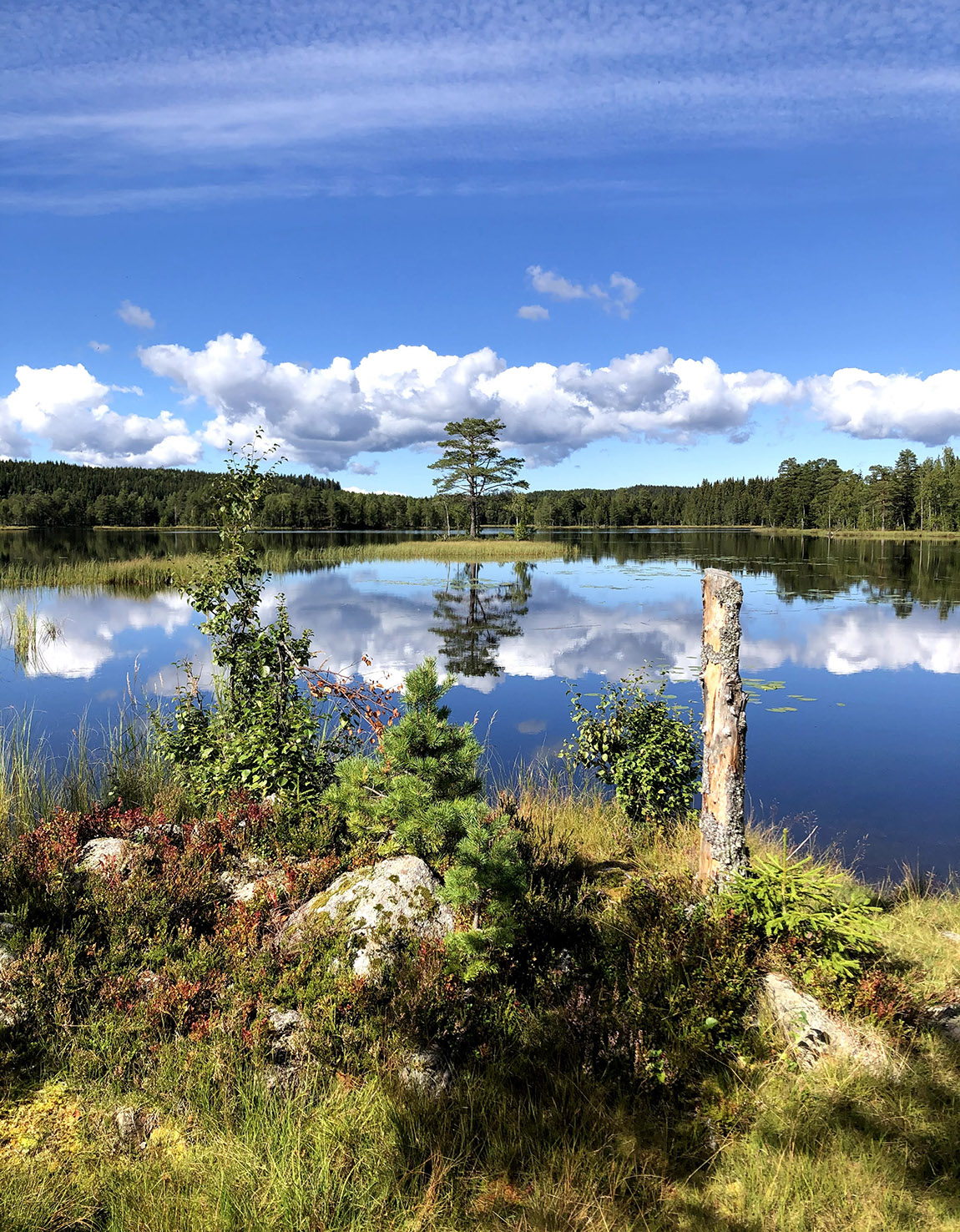 Hurdalslia Hyttegrend – a personal getaway in eastern Norway’s hidden gem
